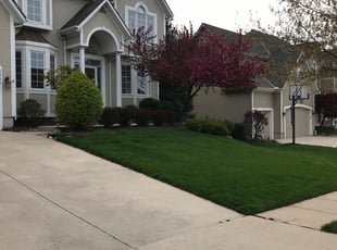 1 Metairie La Lawn Care Service Lawn Mowing From 19 Best 2020