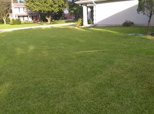 1 Metairie La Lawn Care Service Lawn Mowing From 19 Best 2020