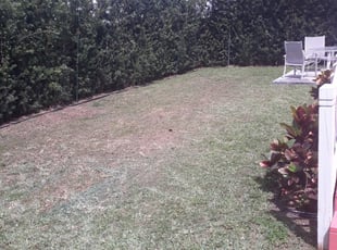 Miami FL Lawn Care Service Lawn - Miami Fl Lawn Care 2039750