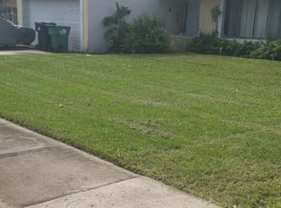 Miami Fl Lawn Care Service Lawn Mowing From 19 Lawnstarter