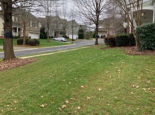Middletown Oh Lawn Care Service Lawn Mowing From 19 Rated Best 2020