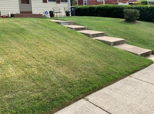 1 Middletown Ri Lawn Care Service Lawn Mowing From 19 Best 2020