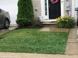1 Midlothian Va Lawn Care Service Lawn Mowing From 19 Best 2020