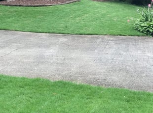 1 Milford Ma Lawn Care Service Lawn Mowing From 19 Best 2020