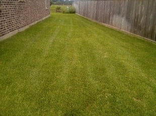 Milford Oh Lawn Care Service Lawn Mowing From 19 Rated Best 2020
