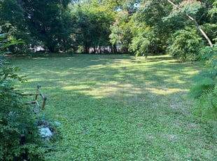1 Minneapolis Mn Lawn Care Service Lawn Mowing From 19 Best 2020