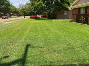1 Minneapolis Mn Lawn Care Service Lawn Mowing From 19 Best 2020