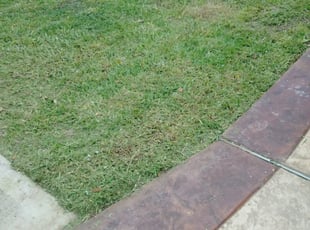 Mission Tx Lawn Care Service Lawn Mowing From 19 Rated Best 2020