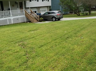 1 Missouri City Tx Lawn Care Service Lawn Mowing From 19 Best 2020