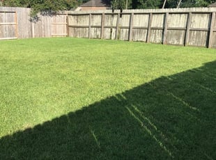 1 Missouri City Tx Lawn Care Service Lawn Mowing From 19 Best 2020