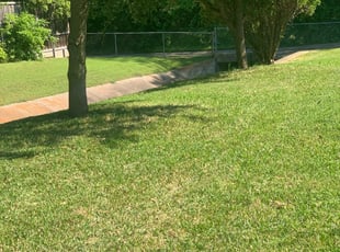 1 Monroe Nc Lawn Care Service Lawn Mowing From 19 Best 2020