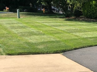Montgomery Village, MD Lawn Care Service | Lawn Mowing ...