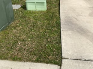 1 Mooresville Nc Lawn Care Service Lawn Mowing From 19 Best 2020