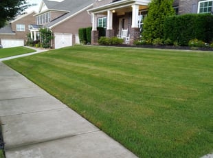 1 Mooresville Nc Lawn Care Service Lawn Mowing From 19 Best 2020