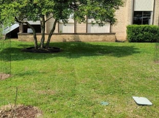 Moreno Valley Ca Lawn Care Service Lawn Mowing From 19 Rated Best 2020