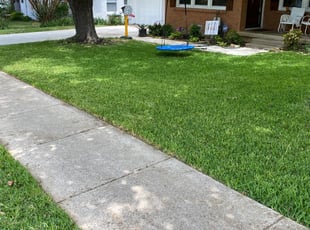 1 Morris Il Lawn Care Service Lawn Mowing From 19 Best 2020