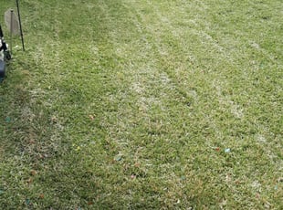 1 Morrison Co Lawn Care Service Lawn Mowing From 19 Best 2020