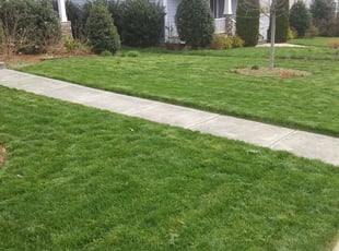 1 Morrisville Nc Lawn Care Service Lawn Mowing From 19 Best 2020
