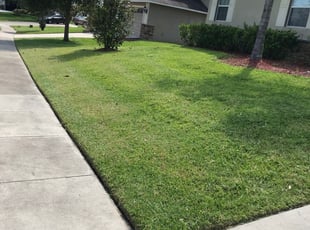 Mount Dora Fl Lawn Care Service Lawn Mowing From 19 Rated Best 2020