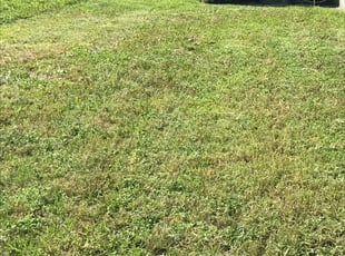 Landscaping Hardscaping Services Lawn Maintenance In Oviedo Fl