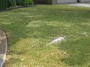 Mount Dora Fl Lawn Care Service Lawn Mowing From 19 Rated Best 2020
