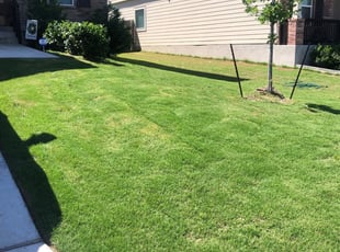 Mount Holly Nc Lawn Care Service Lawn Mowing From 19 Lawnstarter