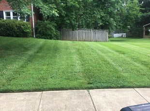 Mount Holly Nc Lawn Care Service Lawn Mowing From 19 Lawnstarter