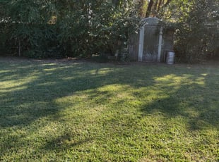 Mount Juliet Tn Lawn Care Service Lawn Mowing From 19 Rated Best 2020