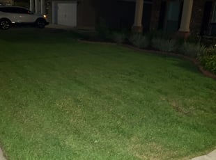 1 Mount Pleasant Pa Lawn Care Service Lawn Mowing From 19 Best 2020