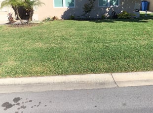 1 Mount Pleasant Tn Lawn Care Service Lawn Mowing From 19 Best 2020