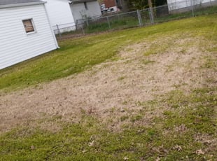 16 Best Lawn Care Services in Mount Prospect, IL 2020 ...