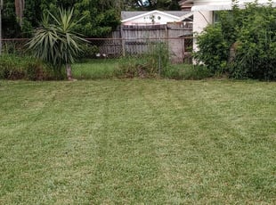 Mountain Top Pa Lawn Care Service Lawn Mowing From 19 Rated Best 2020
