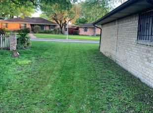 Residential Landscape In Miami Franks Lawn Care Services