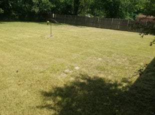 1 Murfreesboro Tn Lawn Care Service Lawn Mowing From 19 Best 2020
