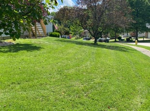 1 Murfreesboro Tn Lawn Care Service Lawn Mowing From 19 Best 2020