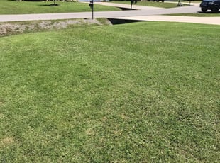 1 Murfreesboro Tn Lawn Care Service Lawn Mowing From 19 Best 2020