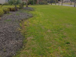 1 Myrtle Beach Sc Lawn Care Service Lawn Mowing From 19 Best 2020
