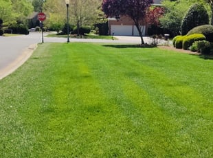 Naperville Il Lawn Care Service Lawn Mowing From 19 Rated Best 2020