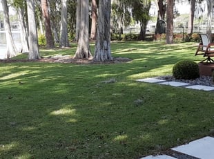 1 Nazareth Pa Lawn Care Service Lawn Mowing From 19 Best 2020