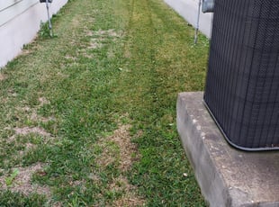 1 New Baltimore Mi Lawn Care Service Lawn Mowing From 19 Best 2020
