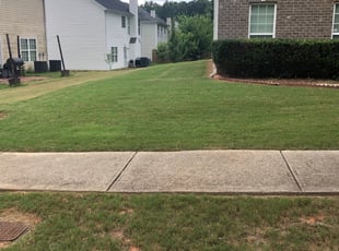 1 New Braunfels Tx Lawn Care Service Lawn Mowing From 19 Best 2020