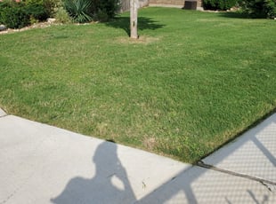 1 New Braunfels Tx Lawn Care Service Lawn Mowing From 19 Best 2020