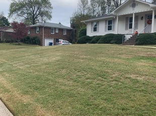 1 New Caney Tx Lawn Care Service Lawn Mowing From 19 Best 2020