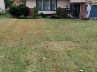 1 New Castle De Lawn Care Service Lawn Mowing From 19 Best 2020