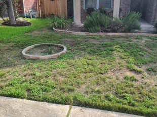 New City Ny Landscaping From 29 1 Landscapers Best Of 2020