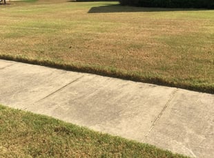 New Haven Ct Lawn Care Service Lawn Mowing From 19 Lawnstarter