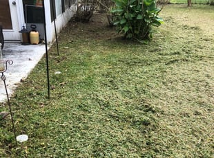 Lawn Care Alex Irrigation Landscaping Aexandria Mn