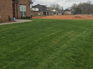 1 New Lenox Il Lawn Care Service Lawn Mowing From 19 Best 2020
