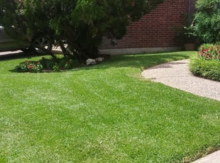 1 New Orleans La Lawn Care Service Lawn Mowing From 19 Best 2020