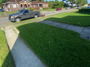 1 New Orleans La Lawn Care Service Lawn Mowing From 19 Best 2020
